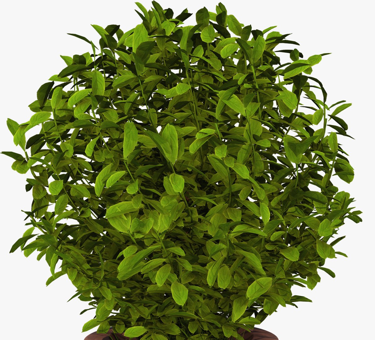 plant pot 3D model https://p.turbosquid.com/ts-thumb/Au/uuYJNs/OBD9yoqw/plant4/jpg/1536926961/1920x1080/fit_q87/4c829b88f50cb6214275b7002a699b5b40703f8f/plant4.jpg