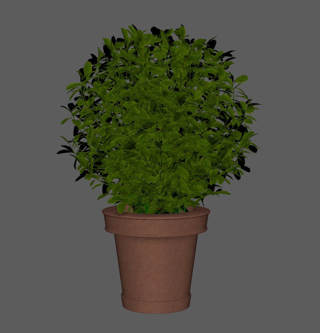 plant pot 3D model https://p.turbosquid.com/ts-thumb/Au/uuYJNs/hkn9M0hj/plant5/jpg/1536927164/1920x1080/fit_q87/f123ff5ee675c2997733f6b7629d84e23b99cb06/plant5.jpg