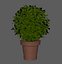 Bush Pot