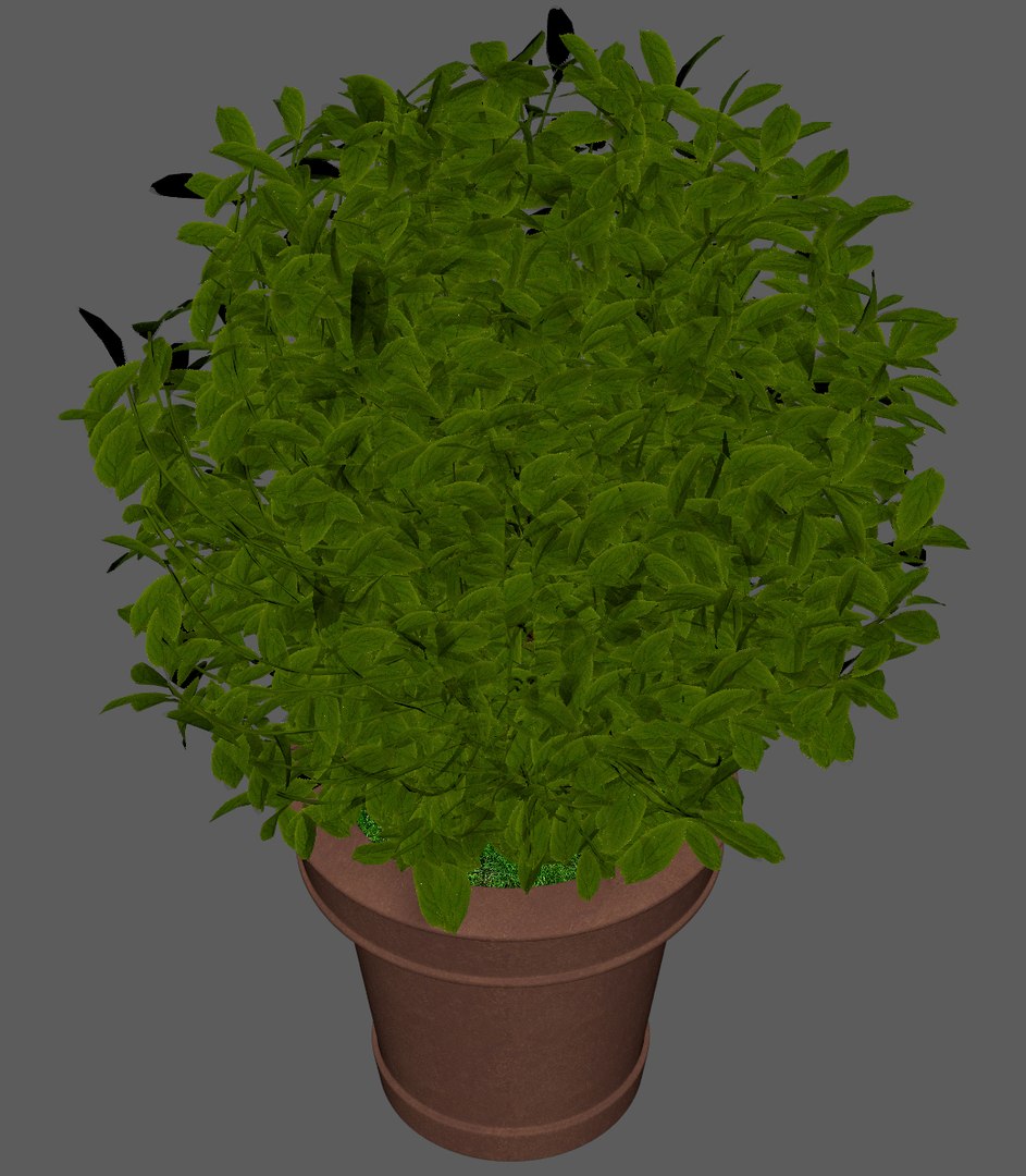 plant pot 3D model https://p.turbosquid.com/ts-thumb/Au/uuYJNs/pZcJB52c/plant8/jpg/1536927164/1920x1080/fit_q87/8dcd8849079269215a60e87f97b73cdac4ee4511/plant8.jpg