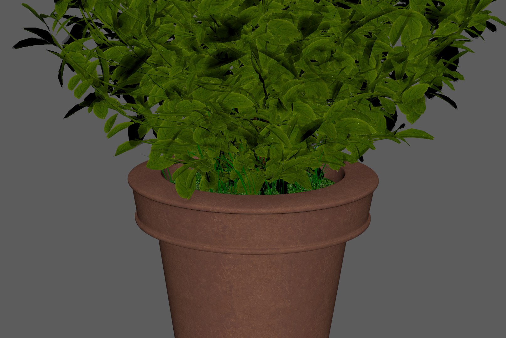 plant pot 3D model https://p.turbosquid.com/ts-thumb/Au/uuYJNs/y0aFq09d/plant7/jpg/1536927164/1920x1080/fit_q87/cb22b96be36595beb4976d21d5c564345bedecb7/plant7.jpg