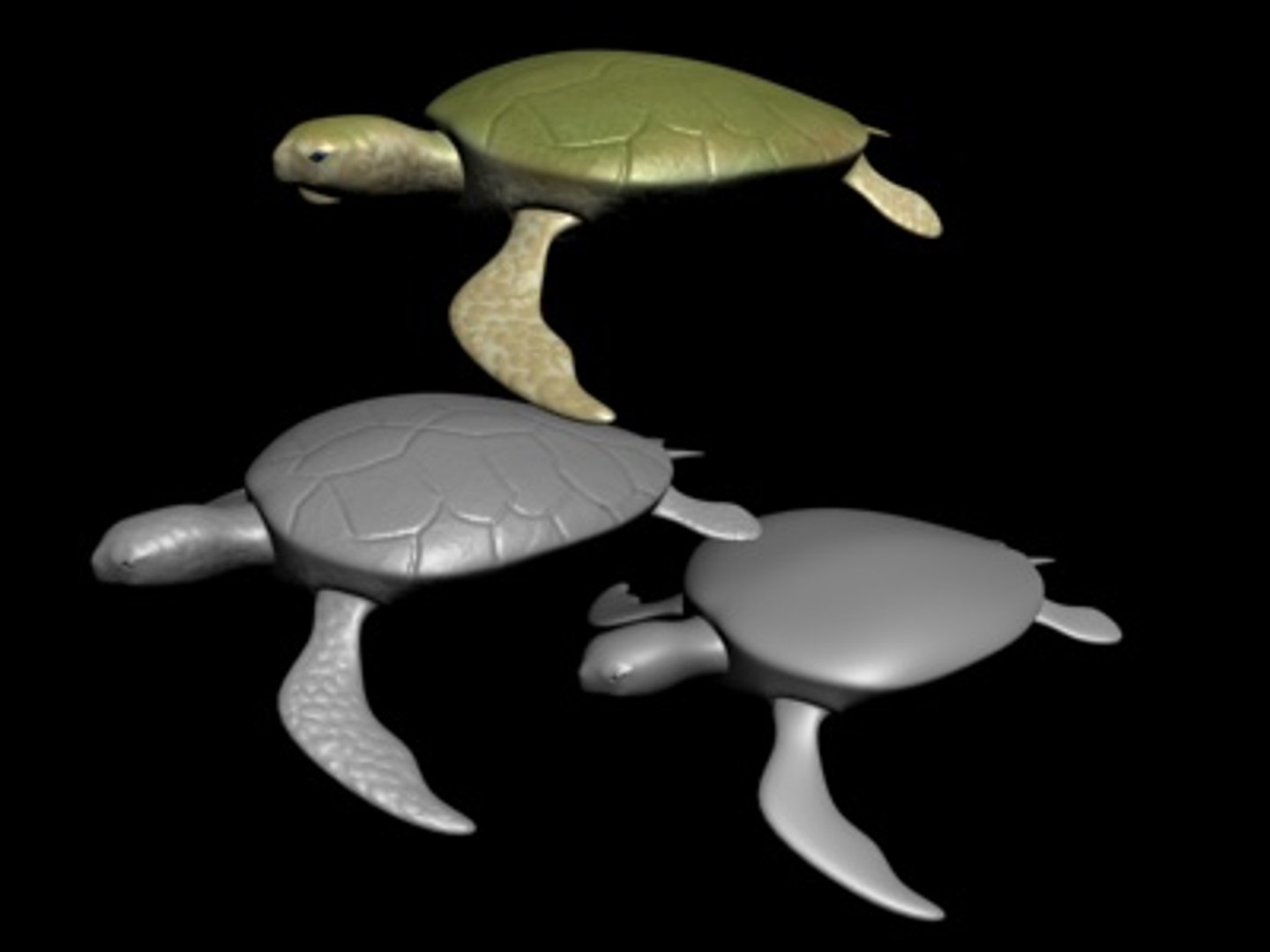 3d turtle rigged normal model https://p.turbosquid.com/ts-thumb/Au/vGPVa3/7i1XBliF/turtle10/jpg/1227541994/1920x1080/fit_q87/81de3122c745545afc3c0e71e1e32c1bf79dff9c/turtle10.jpg