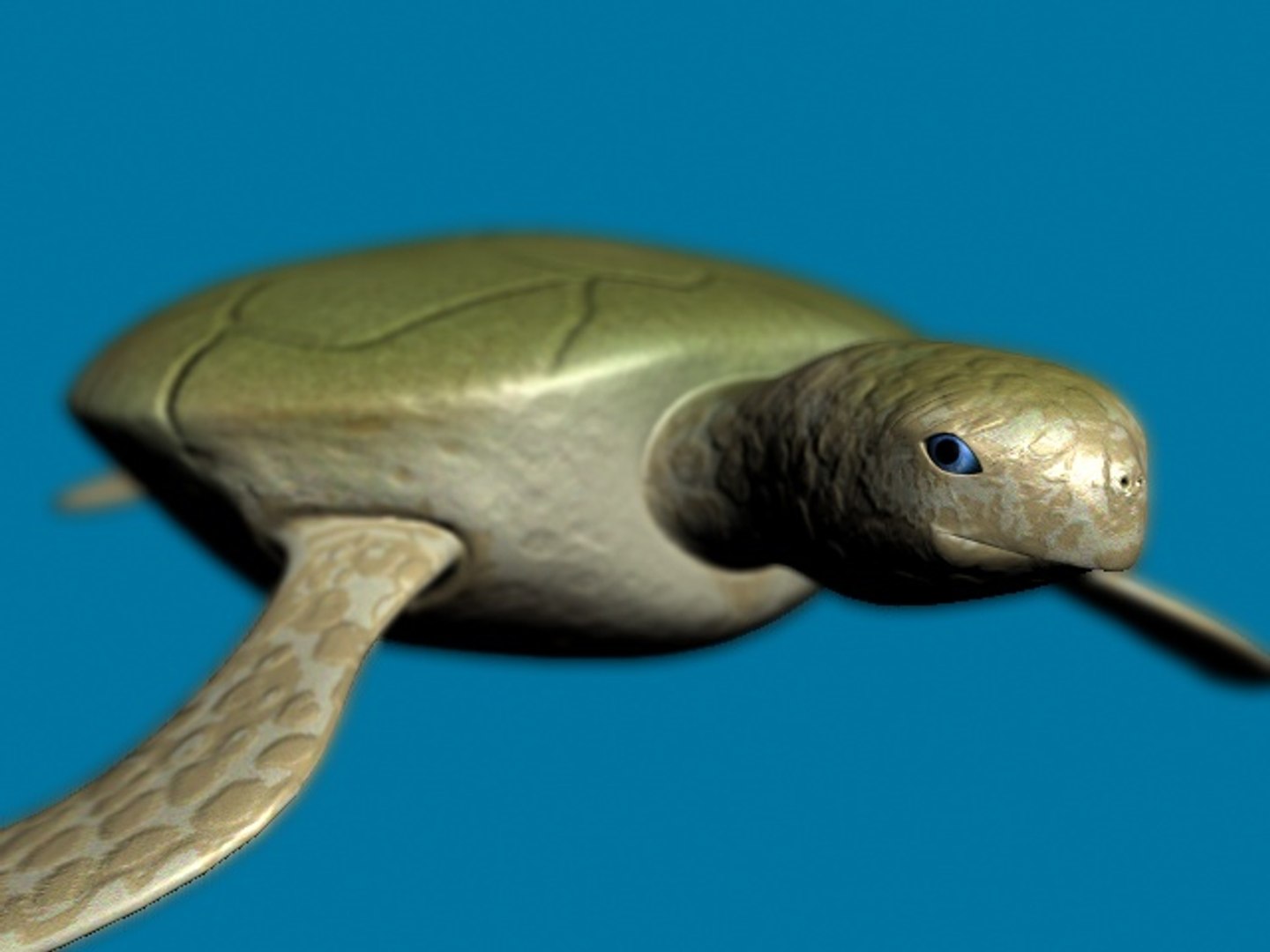 3d turtle rigged normal model https://p.turbosquid.com/ts-thumb/Au/vGPVa3/CPG0xra0/turtle2/jpg/1227541999/1920x1080/fit_q87/1ae00e6ba4e1881163207bb4ec9f1486b6660b54/turtle2.jpg