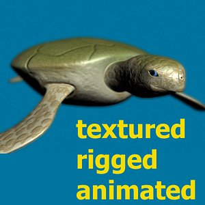 3d turtle rigged normal model