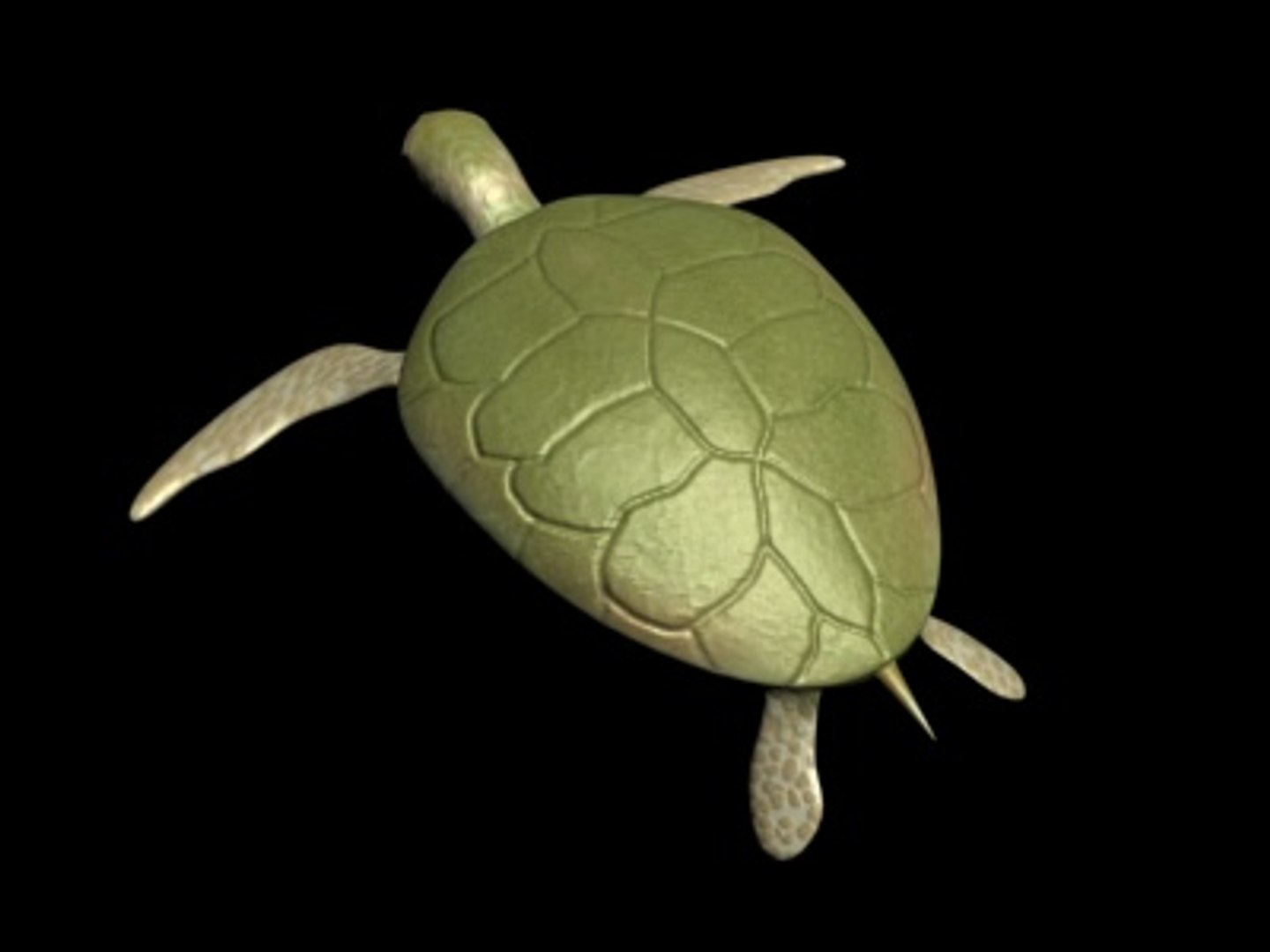 3d turtle rigged normal model https://p.turbosquid.com/ts-thumb/Au/vGPVa3/OyRSXIGR/turtle5/jpg/1227542010/1920x1080/fit_q87/77b6d8f1f977323e8ca43886f749c583939e49d5/turtle5.jpg