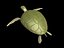 turtle3.max