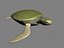 turtle3.max