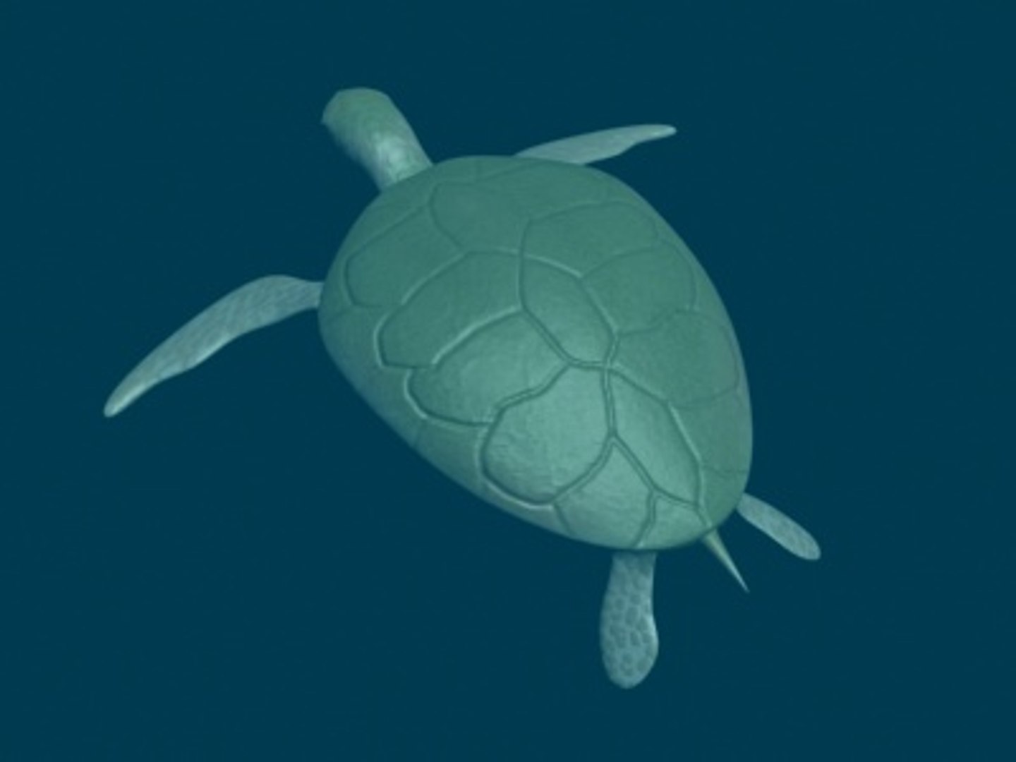 3d turtle rigged normal model https://p.turbosquid.com/ts-thumb/Au/vGPVa3/YUtyiMXK/turtle4/jpg/1227542007/1920x1080/fit_q87/fe4b3ac251728ae9e99611714ab666138a8266d5/turtle4.jpg