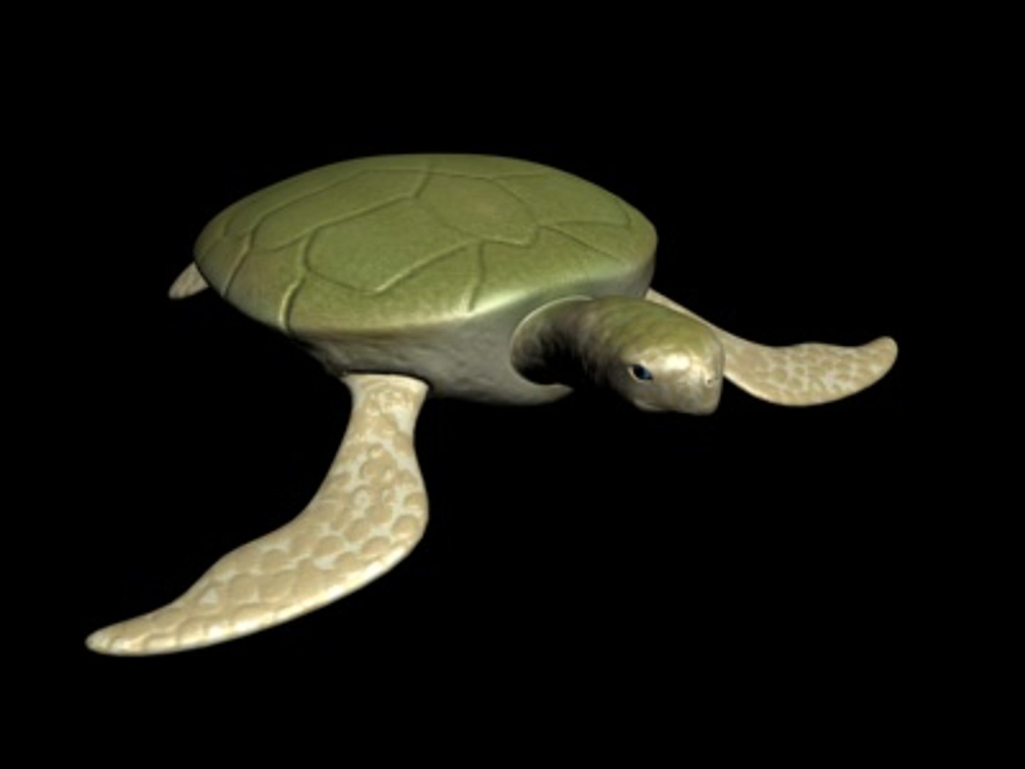 3d turtle rigged normal model https://p.turbosquid.com/ts-thumb/Au/vGPVa3/YrlueXii/turtle7/jpg/1227542018/1920x1080/fit_q87/b05ca9fc39eb80f2c71078669840912788112ccc/turtle7.jpg