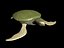 turtle3.max