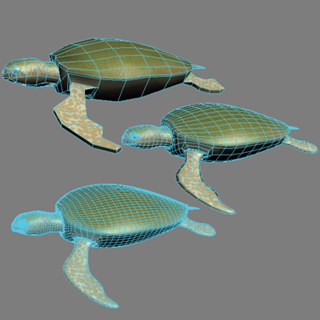 3d turtle rigged normal model https://p.turbosquid.com/ts-thumb/Au/vGPVa3/fhChb789/turtlewire/jpg/1227541917/1920x1080/fit_q87/842063f4a2f97f9cbd5cc260081e0b5539f6c0c0/turtlewire.jpg