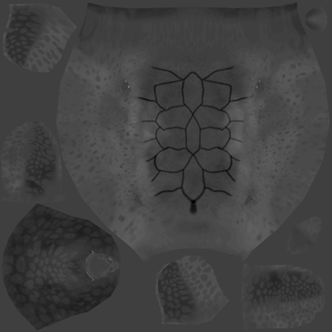 3d turtle rigged normal model https://p.turbosquid.com/ts-thumb/Au/vGPVa3/vmk78FpR/turtlebump/jpg/1227541896/1920x1080/fit_q87/c1013a683ae5939c84f78fe55a1390c1472c5c56/turtlebump.jpg