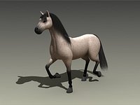 Horse Trotting