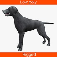 Cachorro dog - rigged
