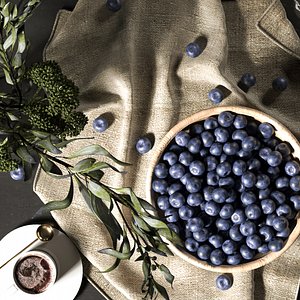 Blueberry and Coffee