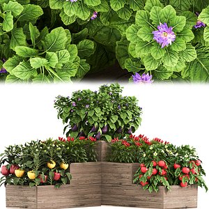 Vegetables and citrus box 01
