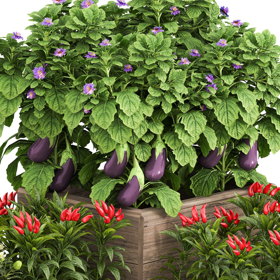 3D Vegetables and citrus box 01 model https://p.turbosquid.com/ts-thumb/Av/PJQS8g/O5/z0005/jpg/1722324122/1920x1080/fit_q87/f8e90702dcb8abfebe1c983014548b267f608880/z0005.jpg