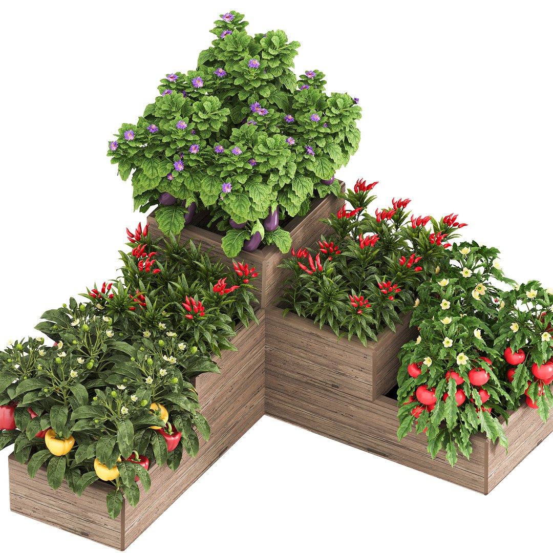 3D Vegetables and citrus box 01 model https://p.turbosquid.com/ts-thumb/Av/PJQS8g/aL/z0007/jpg/1722324127/1920x1080/fit_q87/3504373b8d8d3ebcb07b9a972b6618cad71505e2/z0007.jpg