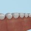 Teeth