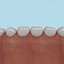 Teeth