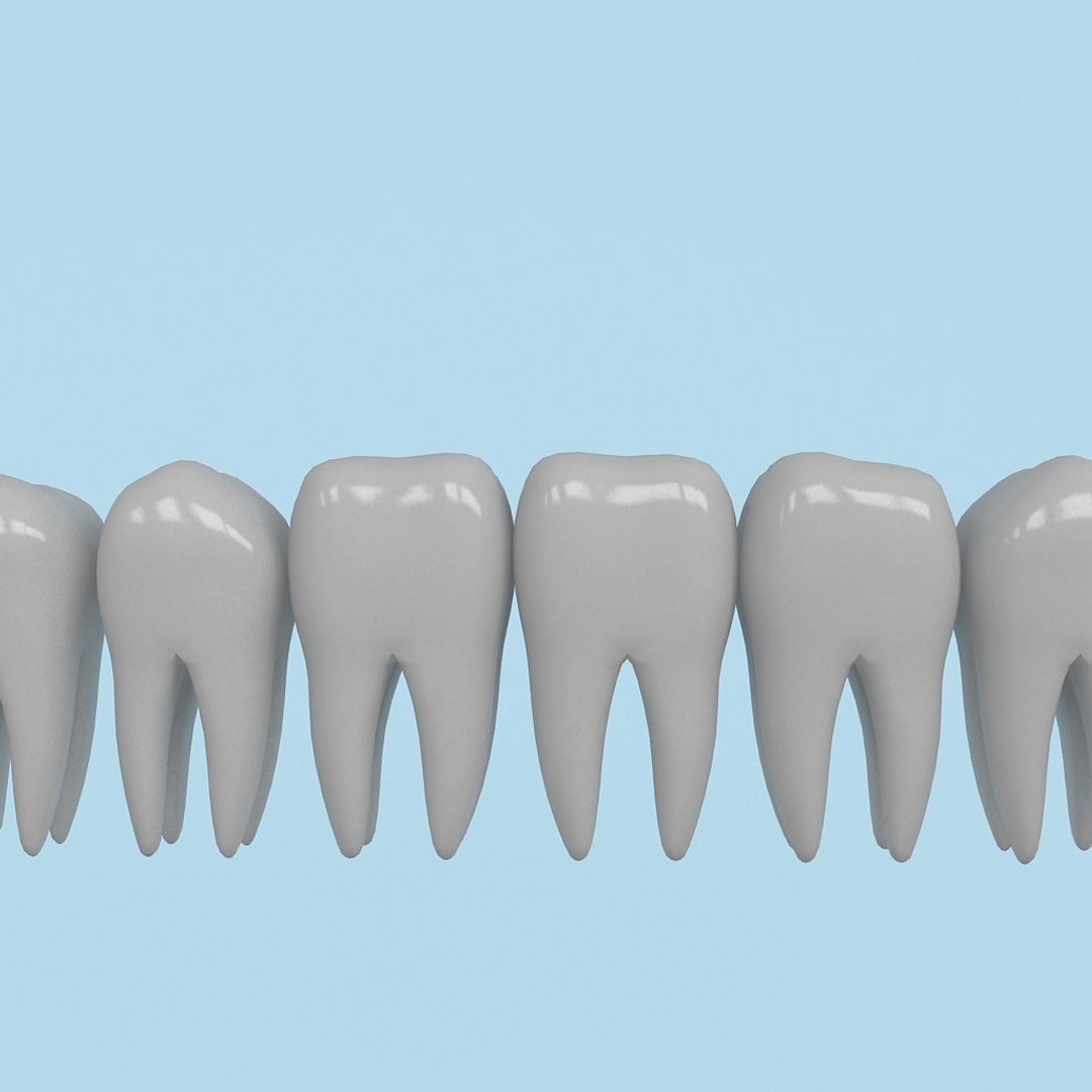 teeth x https://p.turbosquid.com/ts-thumb/Av/UF78TZ/J9V1RWer/zubi_004/jpg/1359711269/1920x1080/fit_q87/0fe48b5f6ac3bb0950d1c2783f0aa8ae3c0f4f90/zubi_004.jpg