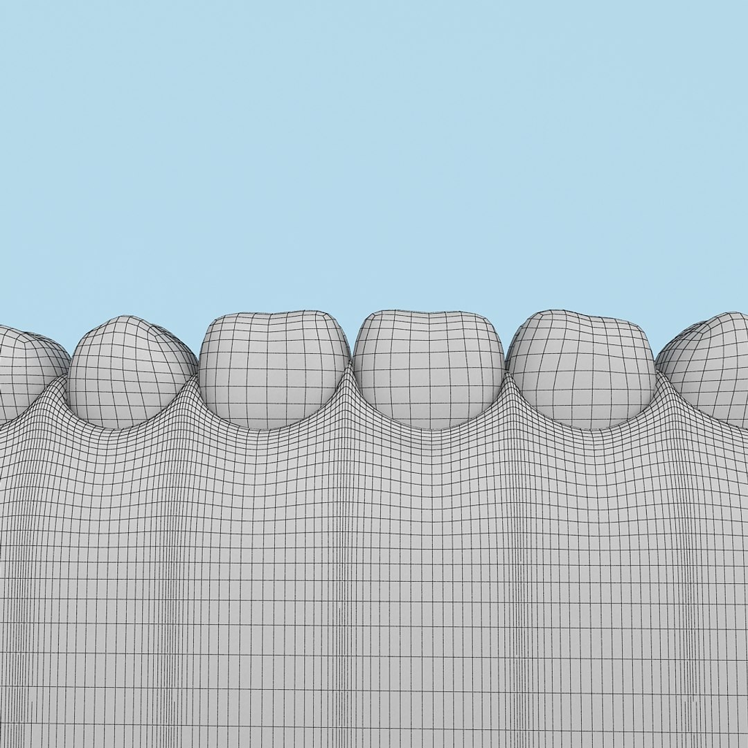 teeth x https://p.turbosquid.com/ts-thumb/Av/UF78TZ/Ufo1S3hs/zubi_wire_001/jpg/1359711269/1920x1080/fit_q87/2c160e8c5fbf1867eddc06668b825e83f711e6bd/zubi_wire_001.jpg