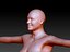 anatomically female 3d obj
