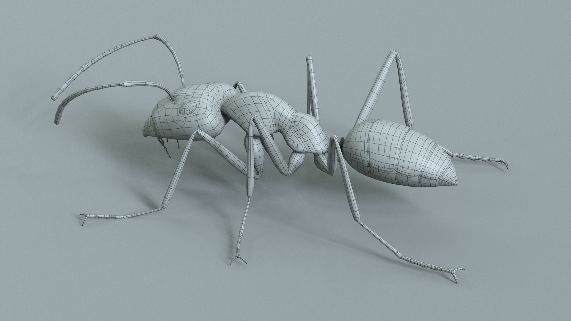 Red Ant Rigged 3D model https://p.turbosquid.com/ts-thumb/Aw/6Xfhd5/Ct/ant_red_rigged_30/jpg/1714652292/1920x1080/fit_q87/4c1519a7344d786cf4f89d4e85bfb2a08bcdff00/ant_red_rigged_30.jpg