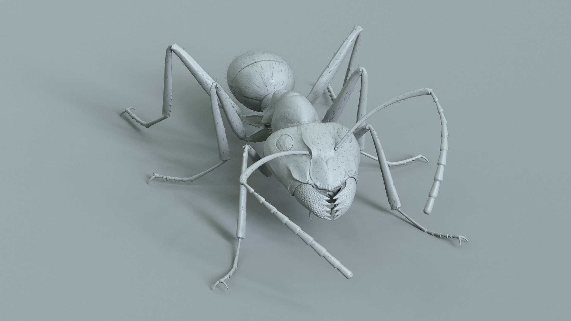 Red Ant Rigged 3D model https://p.turbosquid.com/ts-thumb/Aw/6Xfhd5/EL/ant_red_rigged_20/jpg/1714652278/1920x1080/fit_q87/1b82a075c70bf170fd06314ecc602c14a1ed3cc9/ant_red_rigged_20.jpg