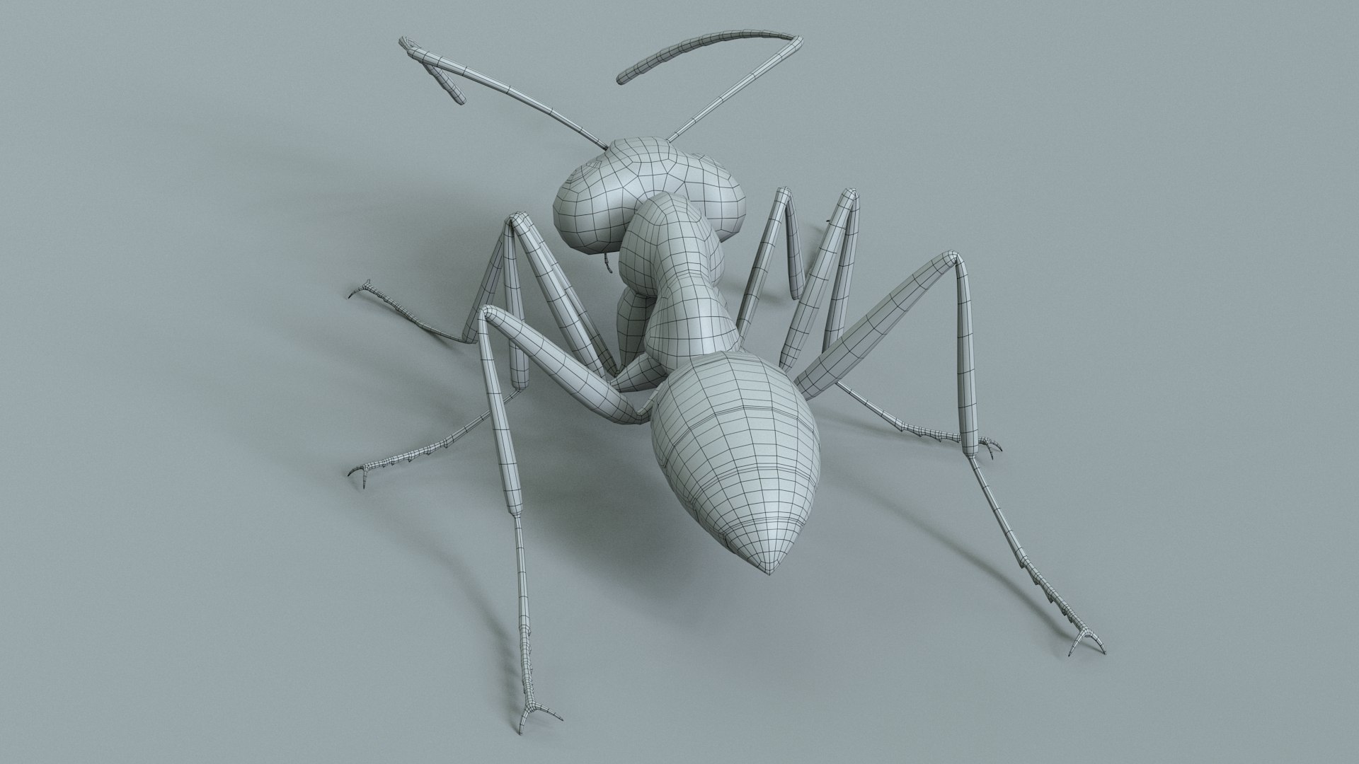 Red Ant Rigged 3D model https://p.turbosquid.com/ts-thumb/Aw/6Xfhd5/Fy/ant_red_rigged_29/jpg/1714652290/1920x1080/fit_q87/a753f75066a0e5a96b00e42851f628c3073e65a1/ant_red_rigged_29.jpg