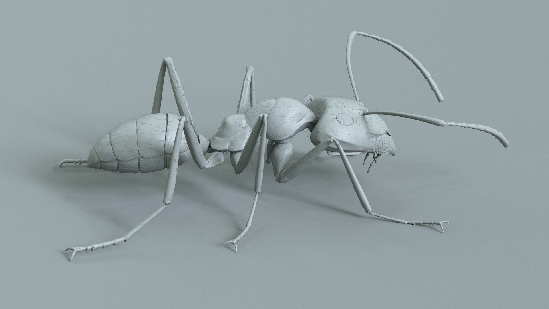 Red Ant Rigged 3D model https://p.turbosquid.com/ts-thumb/Aw/6Xfhd5/Gh/ant_red_rigged_15/jpg/1714652270/1920x1080/fit_q87/748f84e62ecfa0fa582816d75048ae34549f26ee/ant_red_rigged_15.jpg