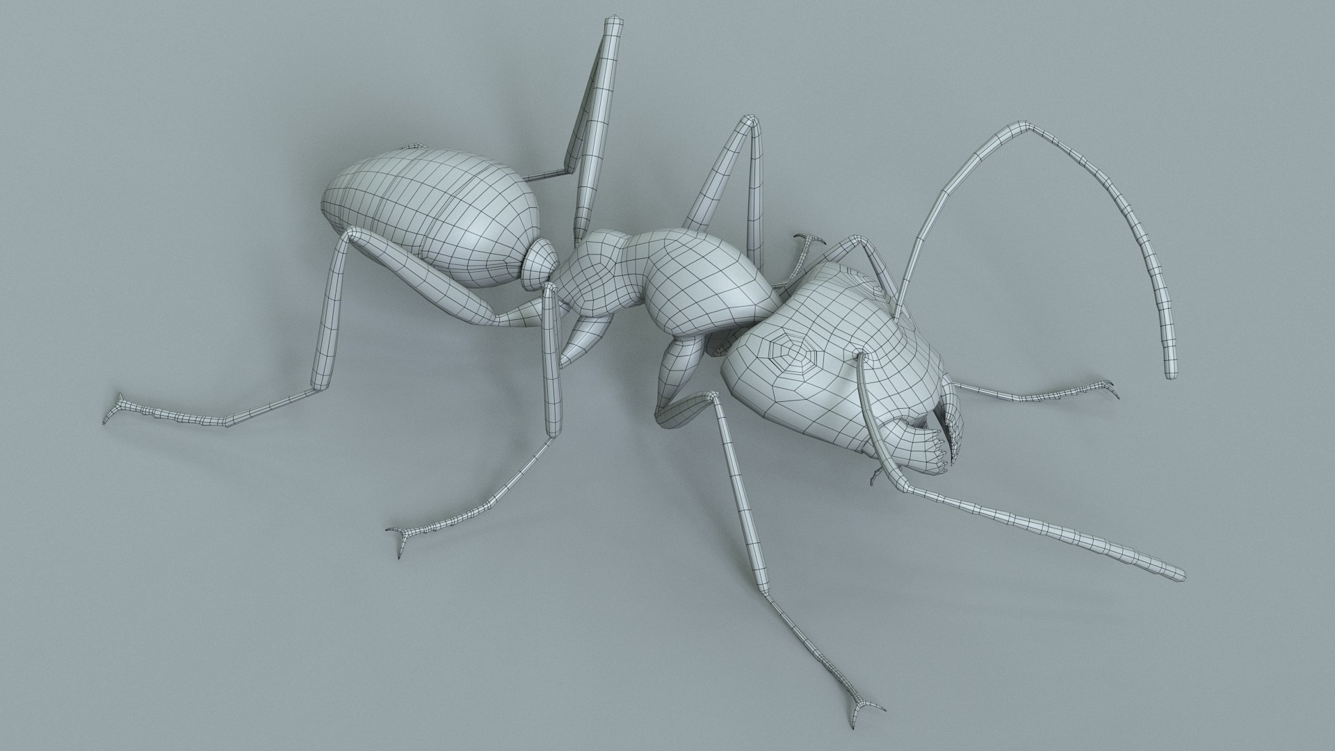 Red Ant Rigged 3D model https://p.turbosquid.com/ts-thumb/Aw/6Xfhd5/L3/ant_red_rigged_26/jpg/1714652287/1920x1080/fit_q87/798b802a4a4d377600956fc40ddbcb589776fe18/ant_red_rigged_26.jpg