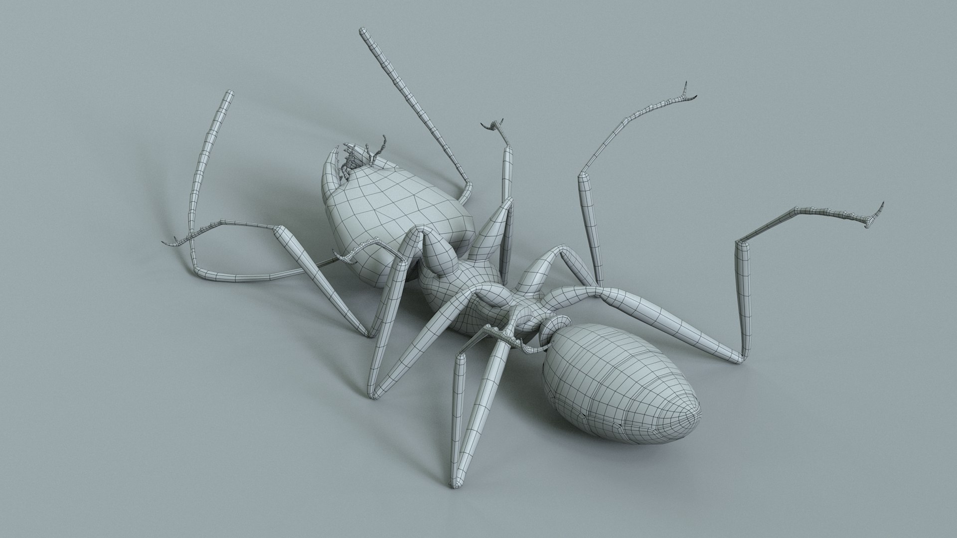 Red Ant Rigged 3D model https://p.turbosquid.com/ts-thumb/Aw/6Xfhd5/Ti/ant_red_rigged_36/jpg/1714652300/1920x1080/fit_q87/119b682a8a1b01a9d7f73273c480eebaf019050f/ant_red_rigged_36.jpg