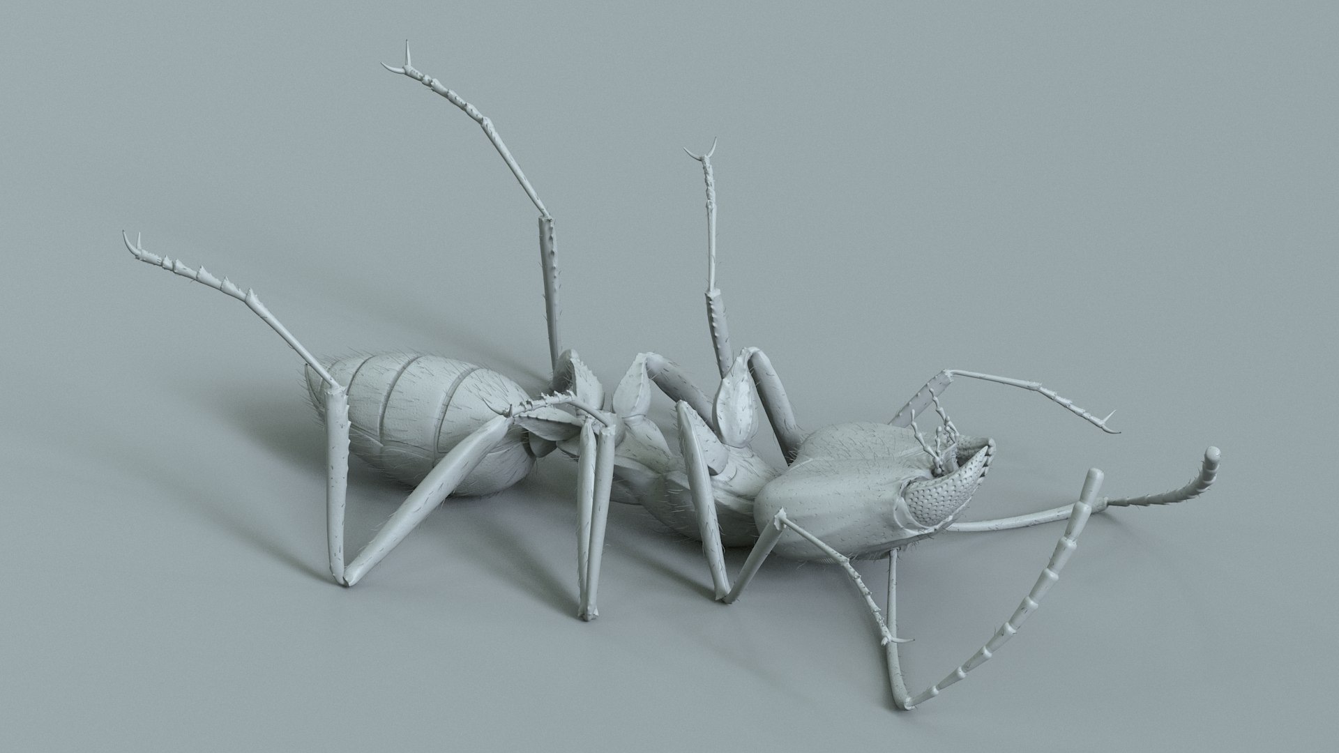 Red Ant Rigged 3D model https://p.turbosquid.com/ts-thumb/Aw/6Xfhd5/UL/ant_red_rigged_21/jpg/1714652279/1920x1080/fit_q87/102dca12f79d86fc4176eb099621e3711a47ac4b/ant_red_rigged_21.jpg