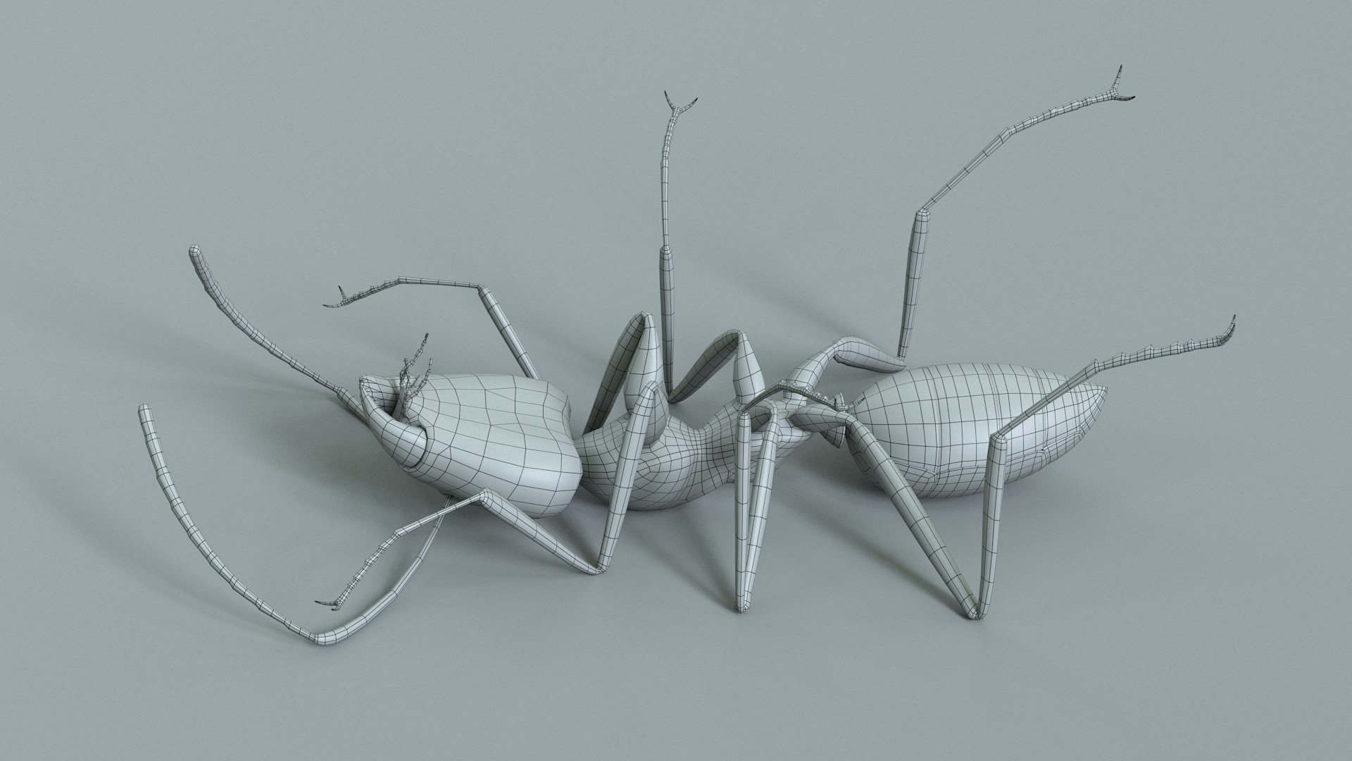 Red Ant Rigged 3D model https://p.turbosquid.com/ts-thumb/Aw/6Xfhd5/bP/ant_red_rigged_37/jpg/1714652301/1920x1080/fit_q87/94b414f4dfb29c5b31b536f02ff19c5010617025/ant_red_rigged_37.jpg
