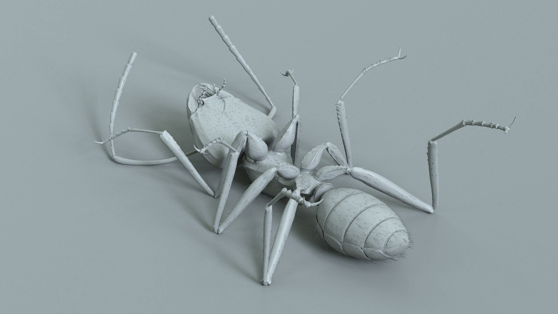Red Ant Rigged 3D model https://p.turbosquid.com/ts-thumb/Aw/6Xfhd5/cn/ant_red_rigged_24/jpg/1714652284/1920x1080/fit_q87/57283cf639d8ba04bfc3aec77e7b0cb235840fb5/ant_red_rigged_24.jpg