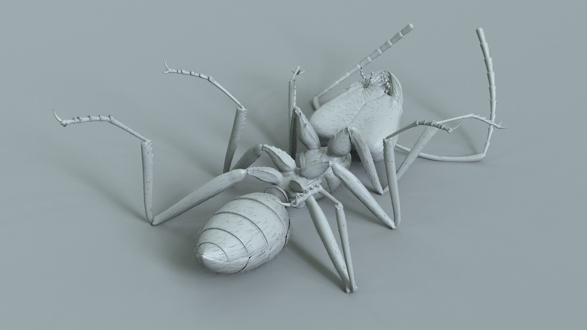 Red Ant Rigged 3D model https://p.turbosquid.com/ts-thumb/Aw/6Xfhd5/it/ant_red_rigged_23/jpg/1714652281/1920x1080/fit_q87/b3d13b50b15b55320d2039c76731a8d844e25fe5/ant_red_rigged_23.jpg
