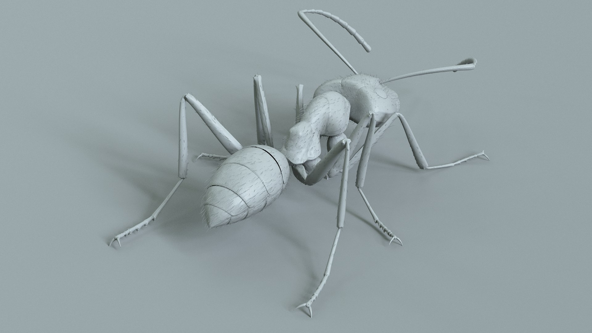 Red Ant Rigged 3D model https://p.turbosquid.com/ts-thumb/Aw/6Xfhd5/jb/ant_red_rigged_16/jpg/1714652273/1920x1080/fit_q87/431fde3db5b111086ab35f018770b049a40492b0/ant_red_rigged_16.jpg