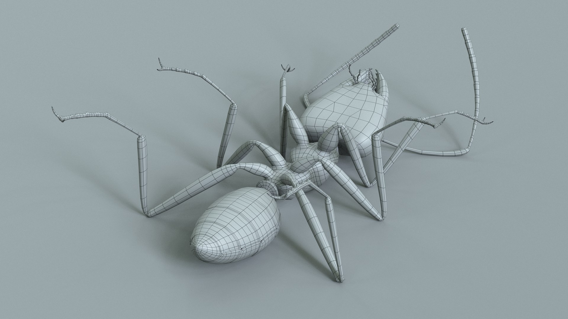 Red Ant Rigged 3D model https://p.turbosquid.com/ts-thumb/Aw/6Xfhd5/mx/ant_red_rigged_35/jpg/1714652299/1920x1080/fit_q87/618c58cf070deb209e58b452d0528082d2cd5f6a/ant_red_rigged_35.jpg