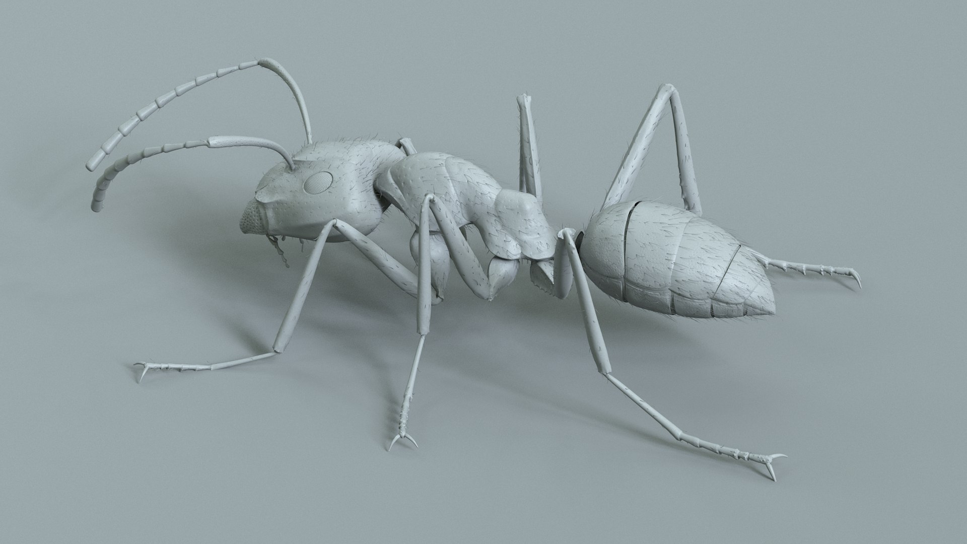 Red Ant Rigged 3D model https://p.turbosquid.com/ts-thumb/Aw/6Xfhd5/my/ant_red_rigged_18/jpg/1714652274/1920x1080/fit_q87/3f18b7db0f8ae168b0ddf81925dc7b573a68815d/ant_red_rigged_18.jpg