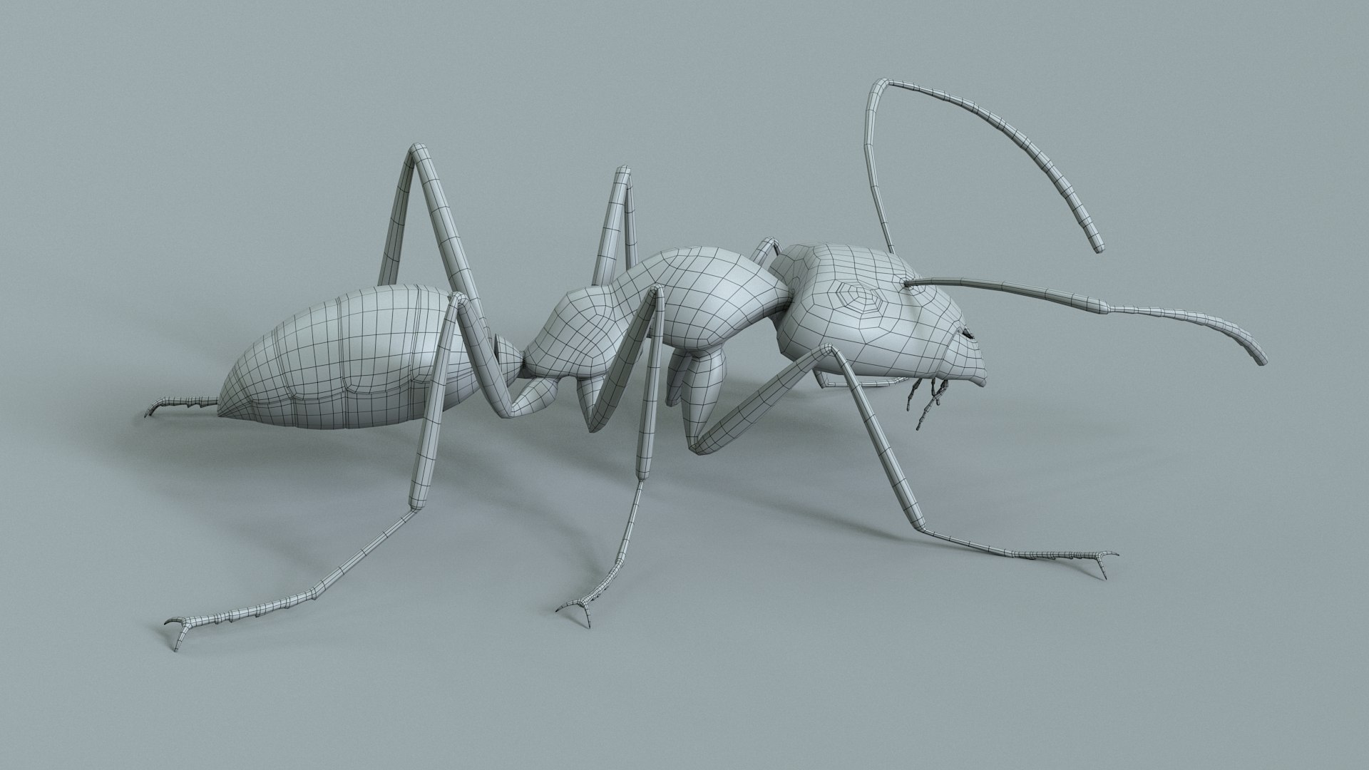 Red Ant Rigged 3D model https://p.turbosquid.com/ts-thumb/Aw/6Xfhd5/ss/ant_red_rigged_27/jpg/1714652288/1920x1080/fit_q87/4ec3dac916a1f1deed62f98785946e751f0c1be9/ant_red_rigged_27.jpg