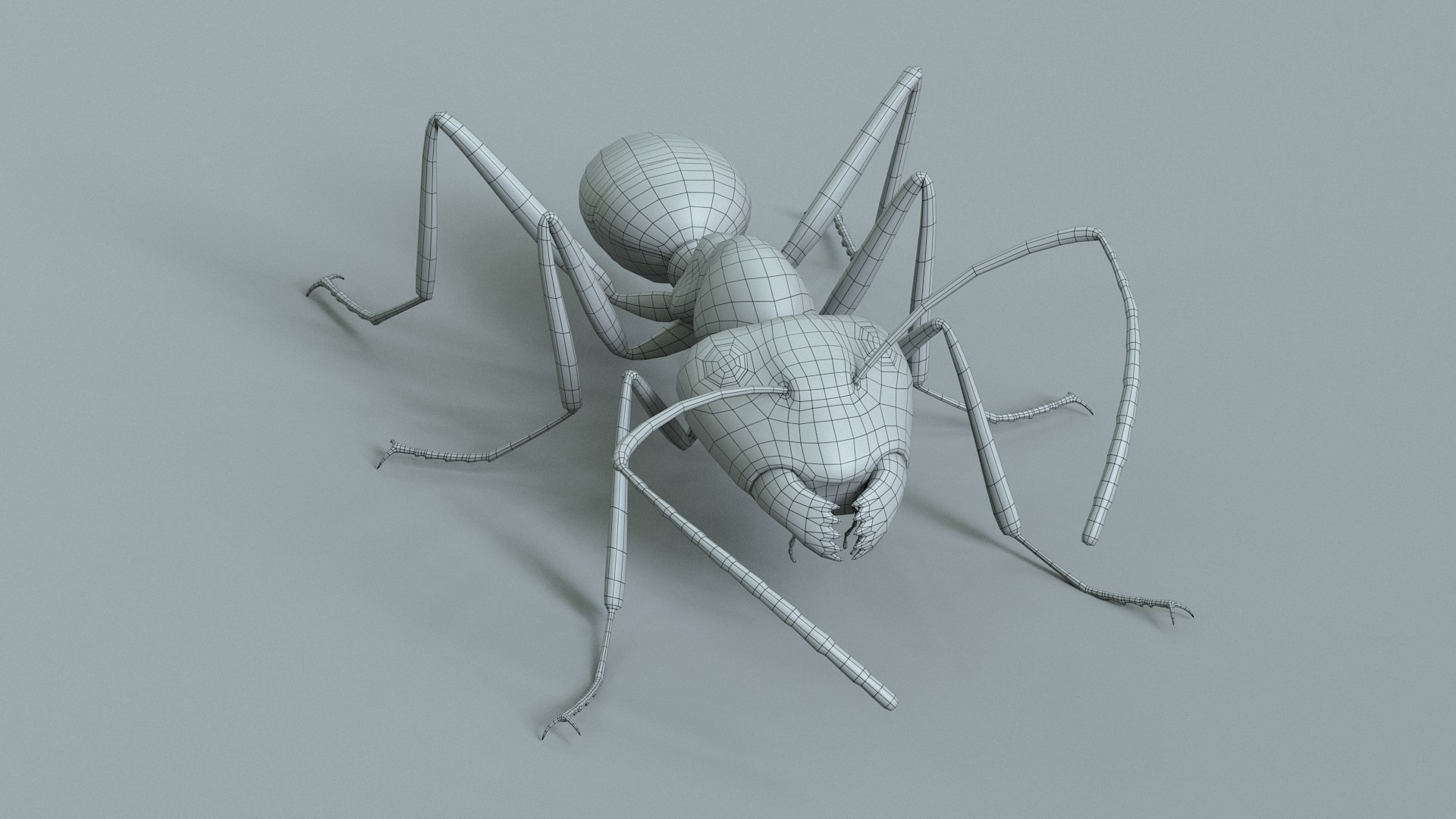 Red Ant Rigged 3D model https://p.turbosquid.com/ts-thumb/Aw/6Xfhd5/tg/ant_red_rigged_32/jpg/1714652294/1920x1080/fit_q87/e0135358fc4fa9b1d4981e799f42f7451553d80b/ant_red_rigged_32.jpg