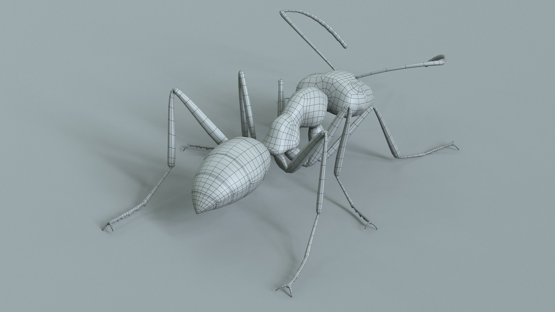 Red Ant Rigged 3D model https://p.turbosquid.com/ts-thumb/Aw/6Xfhd5/y2/ant_red_rigged_28/jpg/1714652290/1920x1080/fit_q87/c19c243235c33131e3ad2859d92532da7a583fc4/ant_red_rigged_28.jpg