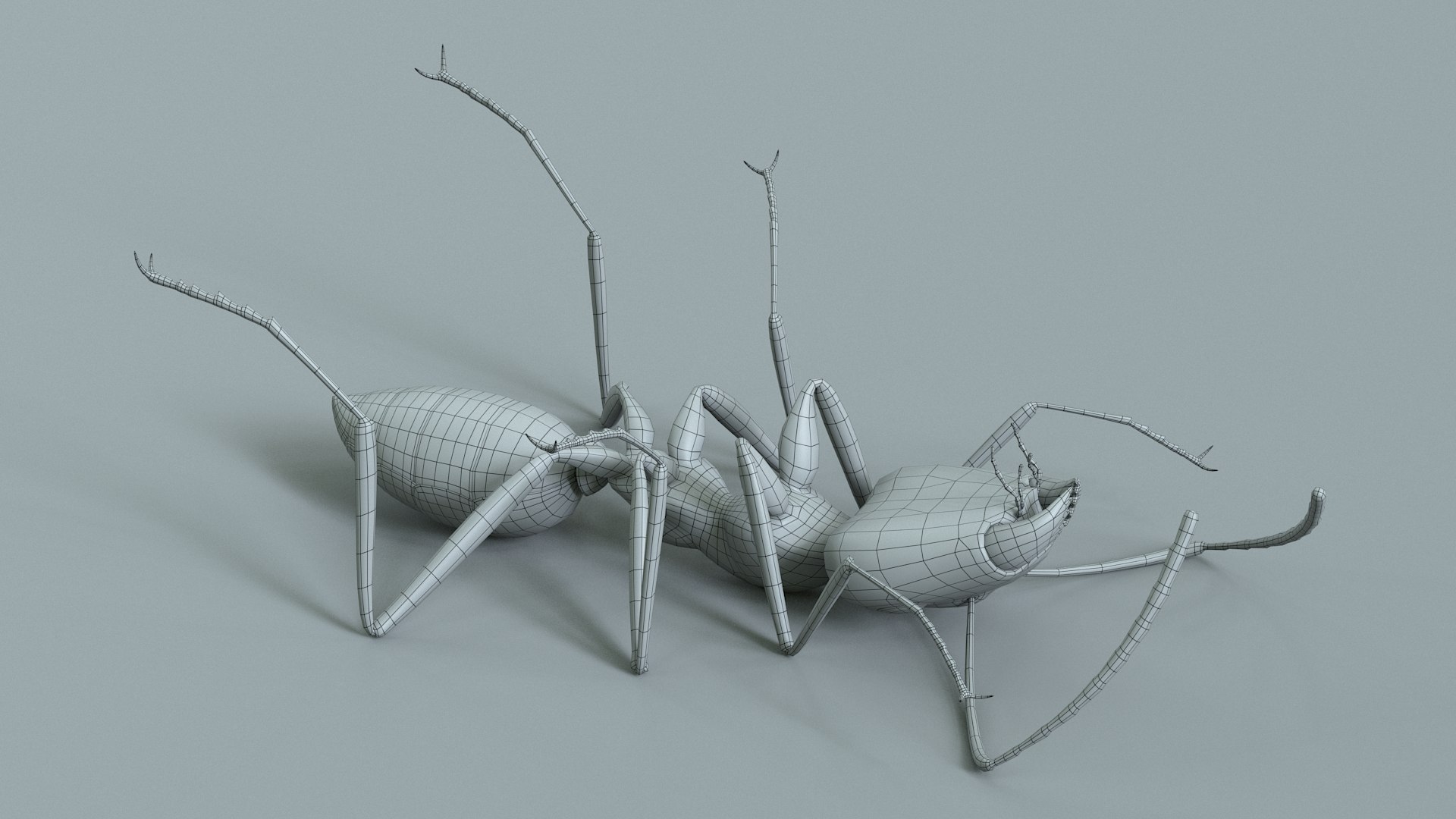 Red Ant Rigged 3D model https://p.turbosquid.com/ts-thumb/Aw/6Xfhd5/ym/ant_red_rigged_33/jpg/1714652296/1920x1080/fit_q87/26ce8df7297b971264ce635b463eddd55a413991/ant_red_rigged_33.jpg