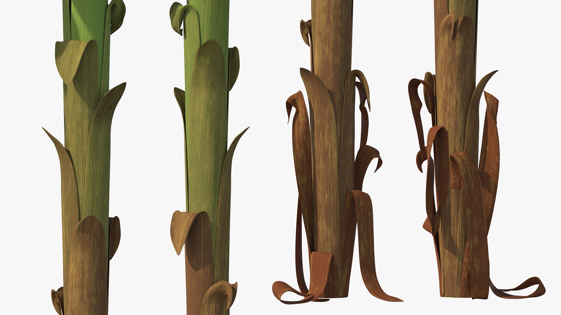 3D banana tree green cluster https://p.turbosquid.com/ts-thumb/Aw/7rAYMh/HQDeSAUJ/bananatreewithgreenbananaclustermb3dmodel007/jpg/1592521484/1920x1080/fit_q87/cec565612e9c4961582ed14e6582f456b8df3fa7/bananatreewithgreenbananaclustermb3dmodel007.jpg