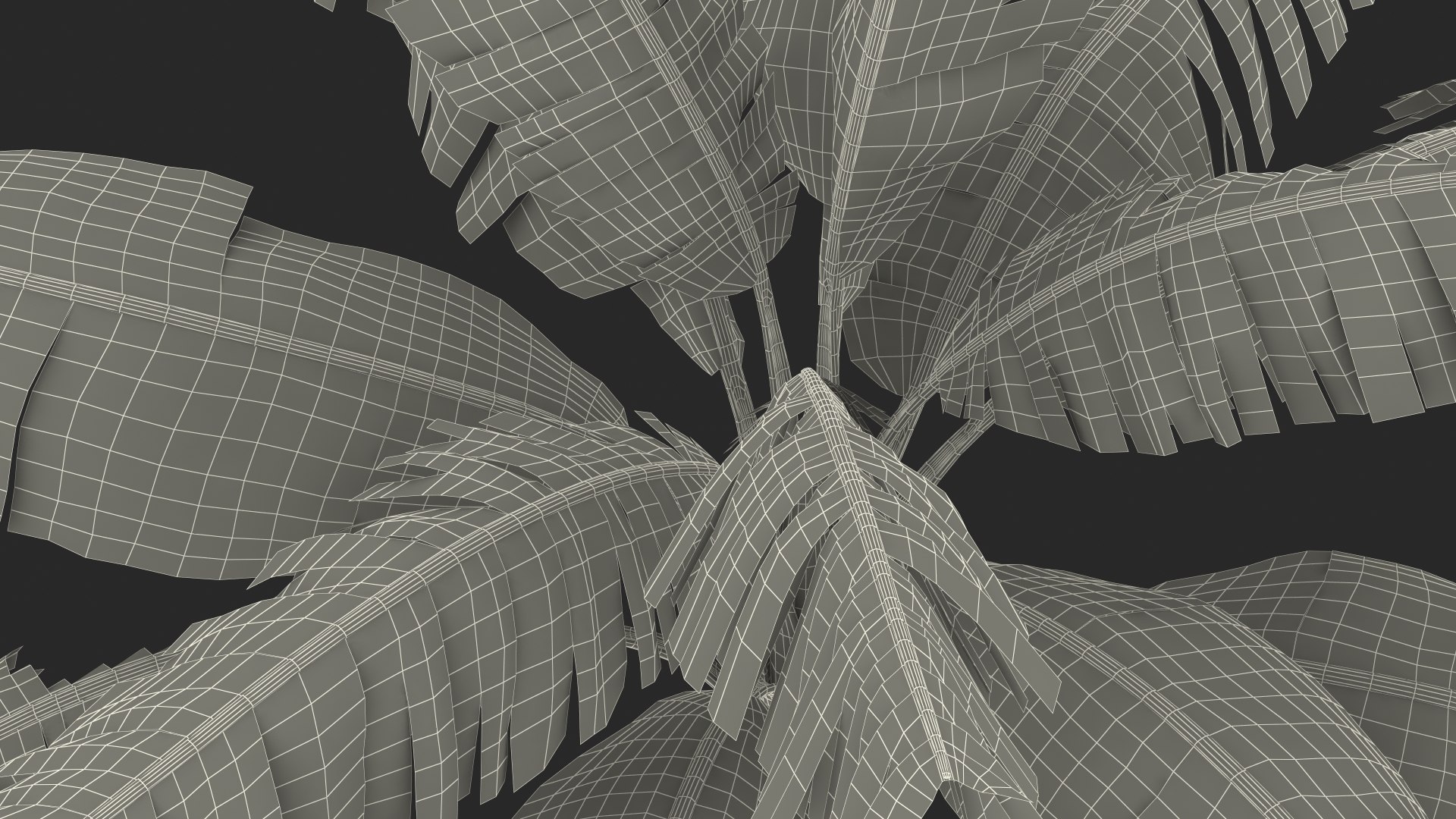 3D banana tree green cluster https://p.turbosquid.com/ts-thumb/Aw/7rAYMh/J50daVLH/bananatreewithgreenbananaclustermb3dmodel028/jpg/1592521643/1920x1080/fit_q87/bee5c503402a5a41d0031c3ff45b9a51993a0fce/bananatreewithgreenbananaclustermb3dmodel028.jpg