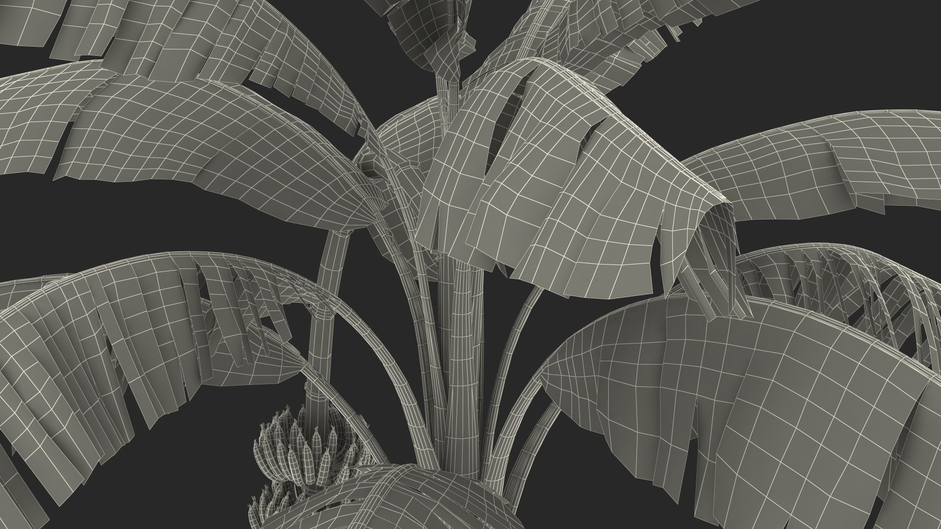 3D banana tree green cluster https://p.turbosquid.com/ts-thumb/Aw/7rAYMh/MA8Yi945/bananatreewithgreenbananaclustermb3dmodel029/jpg/1592521650/1920x1080/fit_q87/45850e6910c03f32565b58595ea9b4e0a6ae12dc/bananatreewithgreenbananaclustermb3dmodel029.jpg