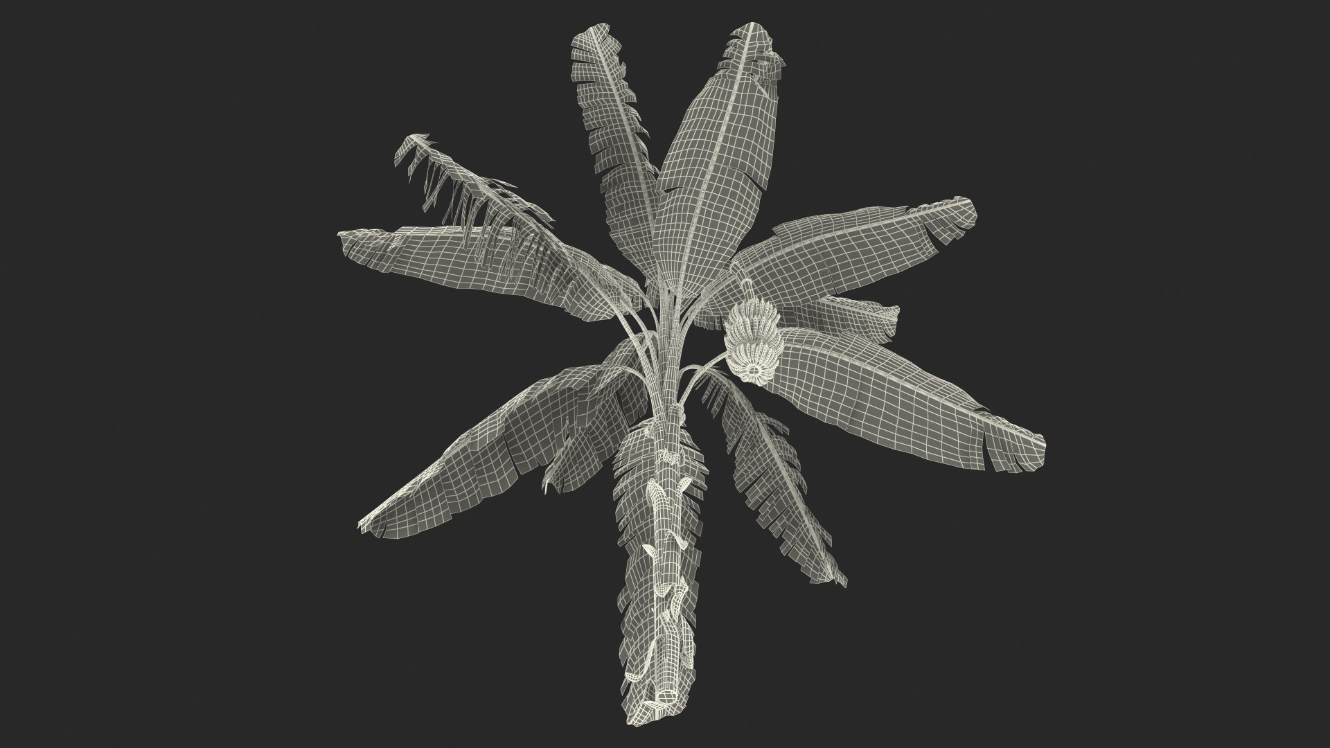 3D banana tree green cluster https://p.turbosquid.com/ts-thumb/Aw/7rAYMh/akHlVKri/bananatreewithgreenbananaclustermb3dmodel036/jpg/1592521704/1920x1080/fit_q87/af3f741efd5bbe88b8fd3bc42de59fae2852441f/bananatreewithgreenbananaclustermb3dmodel036.jpg