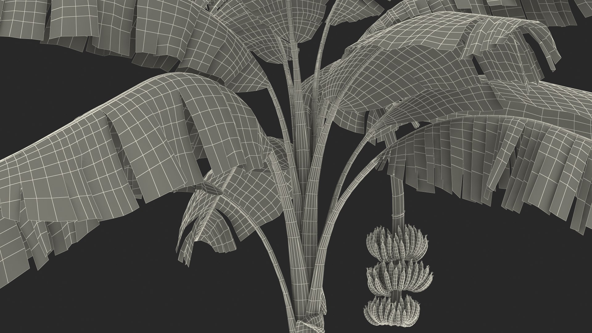 3D banana tree green cluster https://p.turbosquid.com/ts-thumb/Aw/7rAYMh/auxfu6qM/bananatreewithgreenbananaclustermb3dmodel030/jpg/1592521657/1920x1080/fit_q87/fb34301a4d95506d0c7dee5e3fc0d30d819e2eac/bananatreewithgreenbananaclustermb3dmodel030.jpg