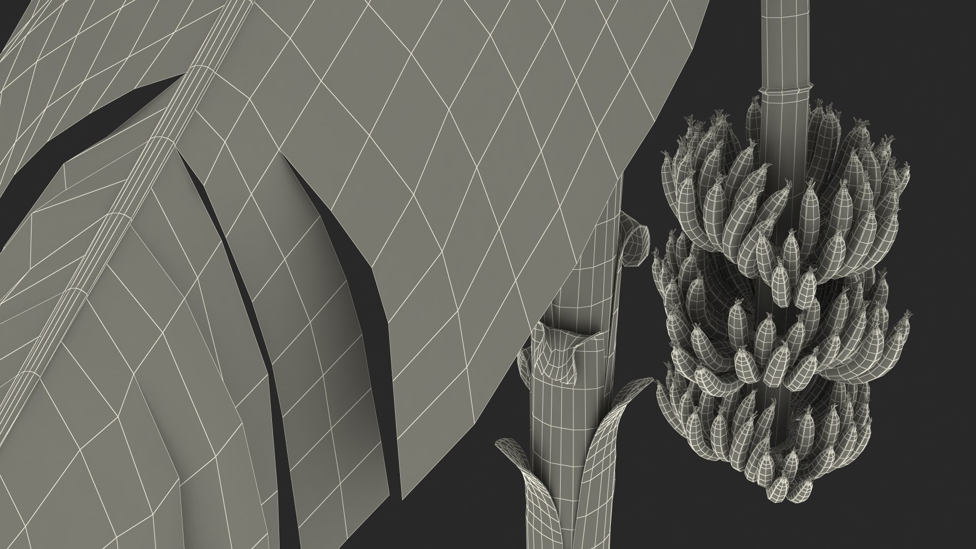3D banana tree green cluster https://p.turbosquid.com/ts-thumb/Aw/7rAYMh/b14edbNs/bananatreewithgreenbananaclustermb3dmodel034/jpg/1592521689/1920x1080/fit_q87/a8c38b64d19ccefa6c13e351465cb55b270d7a36/bananatreewithgreenbananaclustermb3dmodel034.jpg